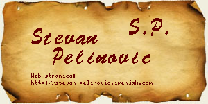Stevan Pelinović vizit kartica